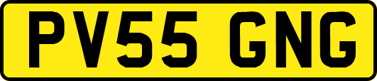 PV55GNG