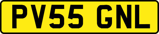 PV55GNL