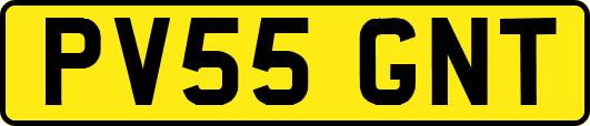 PV55GNT