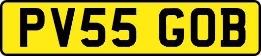 PV55GOB