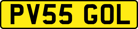 PV55GOL