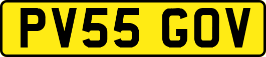 PV55GOV