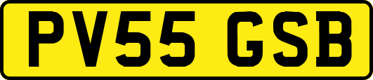 PV55GSB