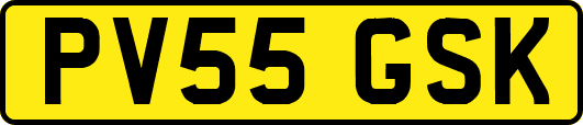 PV55GSK