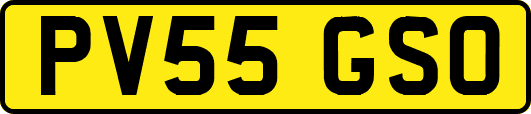 PV55GSO