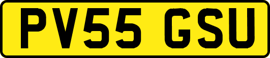 PV55GSU