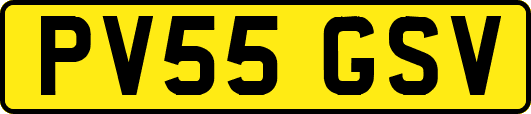 PV55GSV