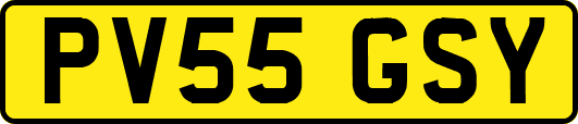 PV55GSY