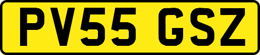 PV55GSZ