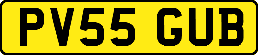 PV55GUB