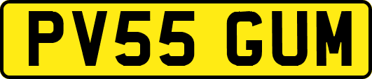 PV55GUM