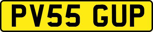 PV55GUP