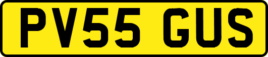 PV55GUS