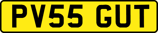 PV55GUT