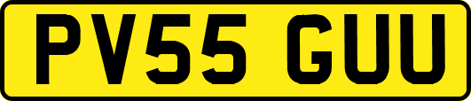 PV55GUU