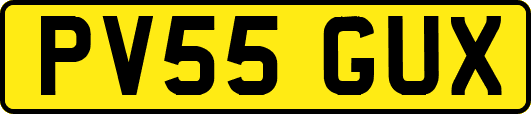 PV55GUX