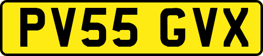PV55GVX