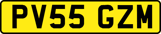 PV55GZM