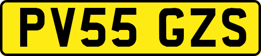 PV55GZS