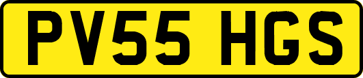 PV55HGS