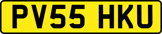 PV55HKU