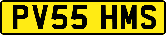 PV55HMS