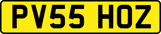 PV55HOZ