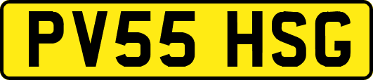 PV55HSG