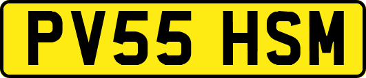 PV55HSM