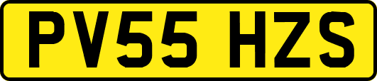 PV55HZS