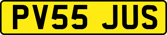 PV55JUS