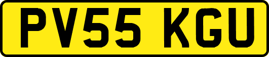 PV55KGU
