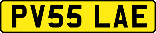 PV55LAE
