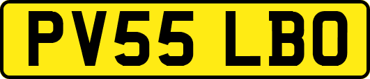 PV55LBO