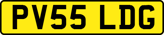 PV55LDG