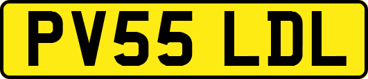 PV55LDL