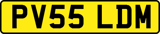 PV55LDM