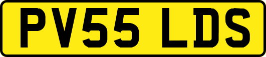 PV55LDS
