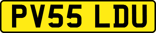 PV55LDU