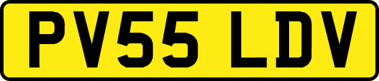 PV55LDV