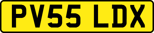 PV55LDX