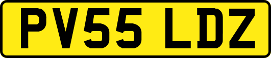 PV55LDZ