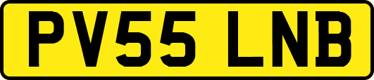 PV55LNB