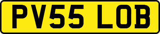 PV55LOB