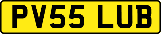 PV55LUB