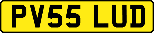 PV55LUD
