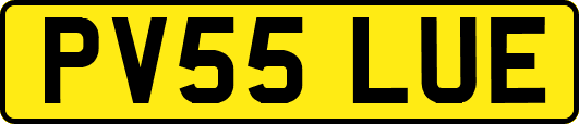PV55LUE