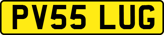 PV55LUG