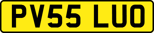 PV55LUO