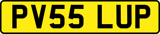 PV55LUP